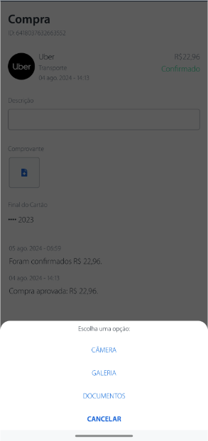 Captura de Tela 2024-08-19 às 11.22.32.png